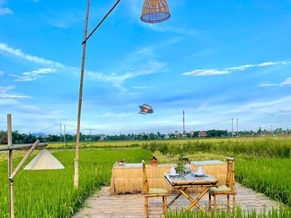 Hoi An Romantic Dining On The Paddy Field